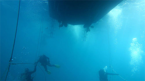 Marine Sports CR2032 Battery - Scuba Diving In Miami, FL